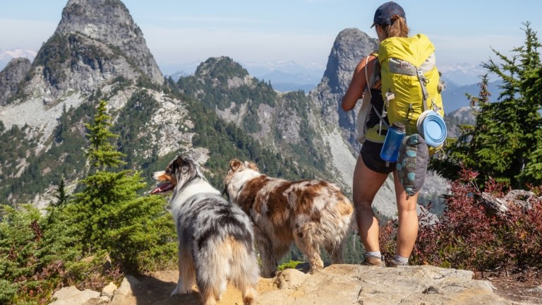 Best Dog Breeds for Active Owners: The Perfect Adventure Companions