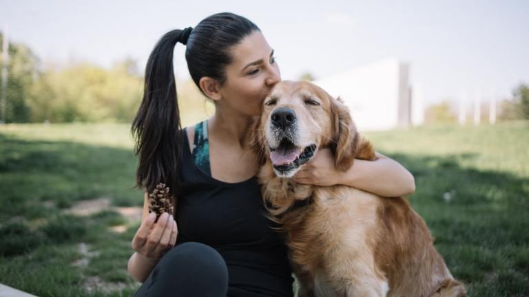 Do Dogs Understand Kisses? How Dogs Interpret Human Affection