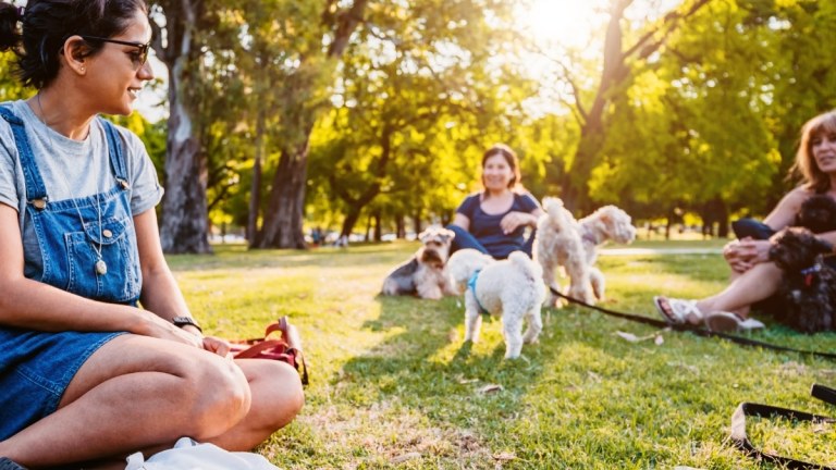 5 Common Dog Park Etiquette Mistakes (UK Guide)