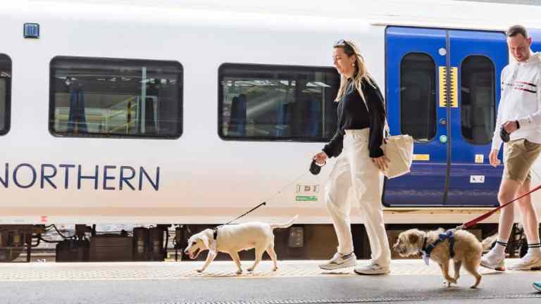 Can You Take Dogs on Trains in the UK? | FluffPost