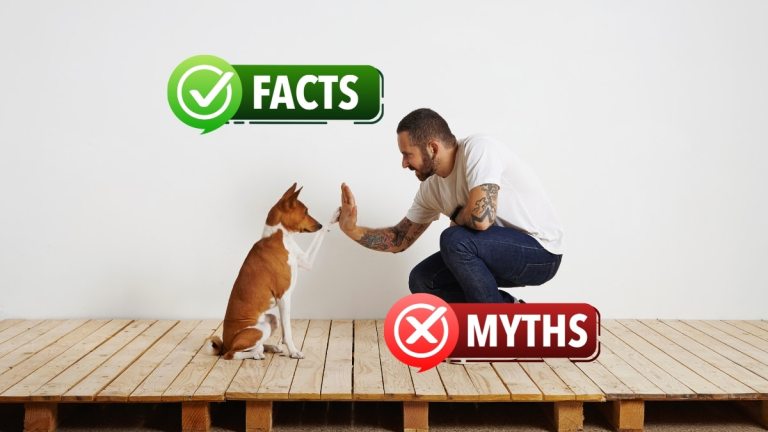 5 Common Dog Training Myths (And What Actually Works)