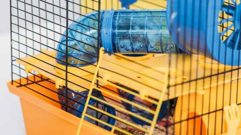 Beautiful view of Excellent Hamster Cage Locking System