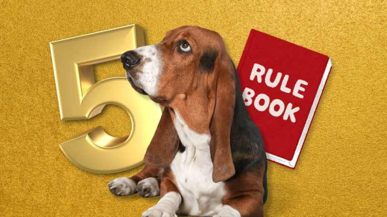 The 5 Golden Rules of Consistent Dog Training (Every UK Owner Should Know)