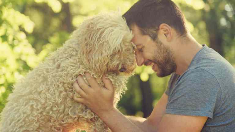 How Dogs Help with Anxiety, Stress, and Low Moods