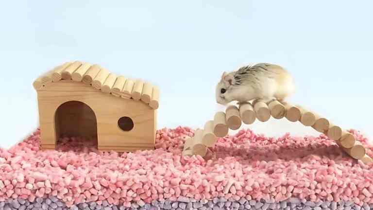 Image showcasing Best Bedding for Guinea Pigs (and What to Avoid) | FluffPost
