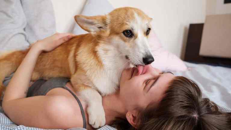 Why Does My Dog Lick Me? 7 Reasons Explained